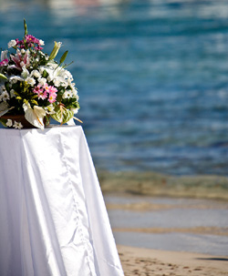 Bahamas Wedding